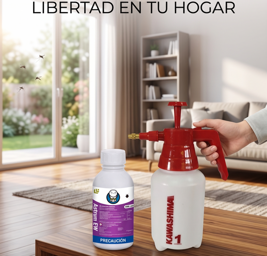 Fumiga tu hogar como profesional: guía simple y económica