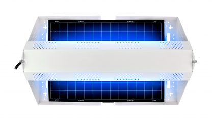 A-117 de 15 piezas Trampa de pegamento para moscas