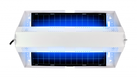 A-117 de 15 piezas Trampa de pegamento para moscas